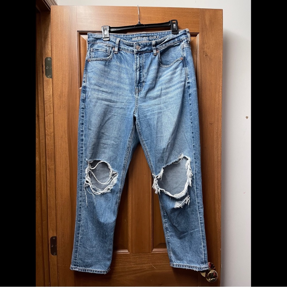 American Eagle “Strigid” Mom Jeans